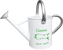Metal Watering Can for Outdoor and Indoor Plants, Watering Can Decor, 1 Gallon (Gemini) by GreenHaven Gardens