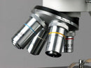 AmScope B100-3M Digital Compound Binocular Microscope, 40X-1000X Magnification, Brightfield, Tungsten Illumination, Abbe Condenser, Plain Stage, Includes 3MP Camera with Reduction Lens and Software by TinyTreasures Baby Boutique
