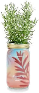 Modern Sprout Mason Garden Jar - Self-Watering Hydroponics Growing System Kit with Organic Herb Seeds - Jar Planter for Indoor Herb Garden - Seed Starter Kit - Home Decor & Gifting - Rosemary by GreenHaven Gardens