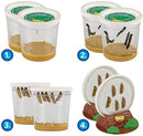 Insect Lore Two Cups of Live Caterpillars - 10 Live Painted Lady Caterpillars with Food - Includes Bonus Butterfly Life Cycle Figurines - Refill for Butterfly Garden Habitat by TinyTreasures Baby Boutique
