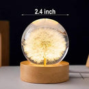 Flower Crystal Ball Night Light,2.4 inch Glass Ball Night Lamp with Woodern Base (Red Daisy) by GreenHaven Gardens