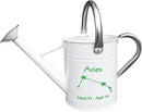Metal Watering Can for Outdoor and Indoor Plants, Watering Can Decor, 1 Gallon (Aries) by GreenHaven Gardens