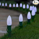 C9 Christmas Pathway Lights with Stakes,Cold White,2 Pack Total 60 Ft 40 Strawberry LED Bulbs,Connectable Shatterproof Outdoor Lights Marker for Xmas Yard Garden Path Lawn Walkway Sidewalk by GreenHaven Gardens