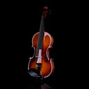 Rhythm Violin Set for Beginners,Acoustic Violins Starter Kit Package for Student,Beginners Fiddle with Hard Case, Rosin, Shoulder Rest, Bow, and Extra Strings (NATURAL, 1/4) by TinyTreasures Baby Boutique