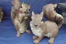 Design Toscano Woodland Squirrel Statue: Chomper by GreenHaven Gardens