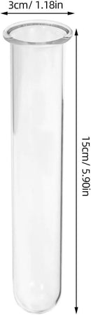 Alipis 4pcs Glass Propagation Stations Accessories Glass Test Tubes Tiered Planters Wall Terrarium for Home Office Plant Hanger Flower Vases Wall Decor Hydroponic Cuttings by GreenHaven Gardens