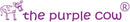 The Purple Cow Crazy Scientist Lab Magical Mirrors Science Kit by TinyTreasures Baby Boutique