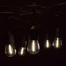 Hometown Evolution, Inc. 100 Foot E26 LED Outdoor Commercial String Lights with 50 Suspended Sockets and S14 LED Filament 1 Watt Bulbs by GreenHaven Gardens