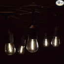 Hometown Evolution, Inc. 24 Foot E26 LED Outdoor Commercial String Lights with 12 Suspended Sockets and S14 LED Filament 1 Watt Bulbs by GreenHaven Gardens