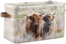 Highland Cows Storage Basket Cube Storage Bins Organizer Bag Collapsible Closet Shelf Baskets with handle for Baby Cloth Pet Toy Book 14.2×10.2×8.3 IN by TinyTreasures Baby Boutique