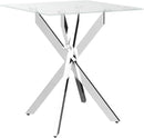 Modern Style Square Side Table with Tempered Glass Top and Metal Tubular Legs, Silver 20”Dx20”Wx22”H by CozyNest Decor