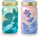 Modern Sprout New & Improved Mason Jar Grow Set, Indoor Herb Garden, Seed Starter Set, Organic Seeds, Hydroponic Growing (Basil + Lavender) by GreenHaven Gardens
