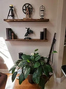 joelsantiques Floating Shelf, Wood Wall Shelf, Natural Wooden Home Decor for Bathroom Kitchen Bedroom, Hanging Mounted Invisible Bracket (Medium Brown, 7" Deep x 60" Wide) by CozyNest Decor