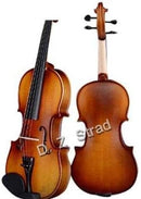 D Z Strad Violin Model 100 with Solid Wood with Case, Bow, and Rosin (1/10 - Size) by TinyTreasures Baby Boutique