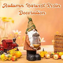 Topadorn Fall Garden Gnome Statue Light, Autumn Harvest Gnome Figurine with Pine Cone on Hand for Fall Harvest Party Thanks, Autumn Thanksgving Gifts for Famliy by CozyNest Decor