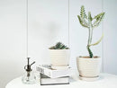Docrin Ceramic Plant Pots Indoor: 6.6 + 5.5 Inch Planters with Drainage Holes and Saucer for Home/Office - Set of 2 /Milky White Honeycomb by GreenHaven Gardens