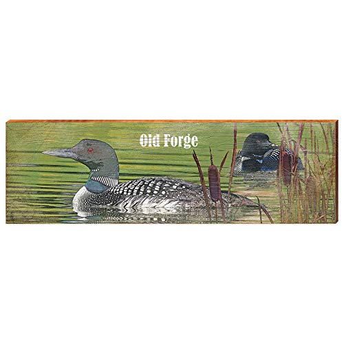 Old Forge Loon Home Decor Art Print on Real Wood