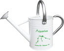 Metal Watering Can for Outdoor and Indoor Plants, Watering Can Decor, 1 Gallon (Aquarius) by GreenHaven Gardens