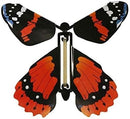 Insect Lore Butterfly Garden - 8" Habitat with 5 Live Baby Caterpillars - Includes Life Cycle Figurines, Stickers, Wind up, Mini Habitat | Birthday or Teacher Gift Set by TinyTreasures Baby Boutique