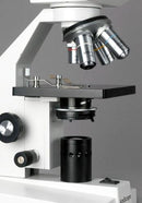 AmScope B100-3M Digital Compound Binocular Microscope, 40X-1000X Magnification, Brightfield, Tungsten Illumination, Abbe Condenser, Plain Stage, Includes 3MP Camera with Reduction Lens and Software by TinyTreasures Baby Boutique