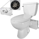 800W/1+HP American Elongated Macerating Toilet Kit with Macerator Pump for Basement Toilet System, 3 - Piece Kit by Lift Assure