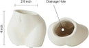 FROZZUR Mini Female Body Shaped Resin Planter, 5 in Diameter, with Drainage Holes, for Indoor or Outdoor Plants by GreenHaven Gardens