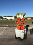 Mr. Stacky Smart Farm - Automatic Self Watering Garden - Grow Fresh Healthy Food Virtually Anywhere Year Round - Soil or Hydroponic Vertical Tower Gardening System (Standard Kit, Black) by GreenHaven Gardens