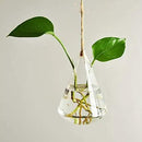 Glass Hanging Planters Indoor Outdoor Plant Pots Water Plant Containers Flower Pots Glass Terrariums Wall Vases 3 Pieces by GreenHaven Gardens