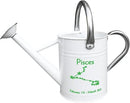 Metal Watering Can for Outdoor and Indoor Plants, Watering Can Decor, 1 Gallon (Pisces) by GreenHaven Gardens
