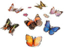 Insect Lore Butterfly Garden - 8" Habitat with 5 Live Baby Caterpillars - Includes Life Cycle Figurines, Stickers, Wind up, Mini Habitat | Birthday or Teacher Gift Set by TinyTreasures Baby Boutique