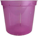 rePotme 6" Slotted Clear Orchid Pots 3 Pack (Rose Quartz) by GreenHaven Gardens