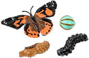 Insect Lore Cup Caterpillars - 5 Live Painted Lady Caterpillars with Food - Includes Figurines - Refill Kit for Butterfly Garden Habitat - STEM Science Activity for Kids and Classrooms by TinyTreasures Baby Boutique