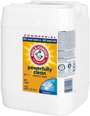 Arm & Hammer Liquid Laundry Detergent Professional, Clean Burst, 5 Gallon (Pack of 1) 640 Loads by CozyNest Decor