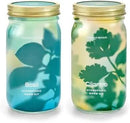 Modern Sprout Mason Garden Jar - Self-Watering Hydroponics Growing System Kit with Organic Herb Seeds - Jar Planter for Indoor Herb Garden - Seed Starter Kit - Home Decor & Gifting - Basil+Cilantro by GreenHaven Gardens