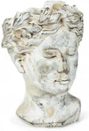 Abbott Collection Goddess Head Planter - Small Cement Indoor and Outdoor Planter Pot - Grecian Woman Statue Head Planter for Flowers and Succulents (Grey, 3.5" Opening) by GreenHaven Gardens