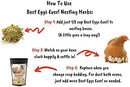 Pampered Chicken Mama Best Eggs Ever! Nesting Herbs for Chickens (4 Pounds) Calcium Supplement for Chickens | Chicken Feed Supplies, Hen Treats for Coops by GreenHaven Gardens