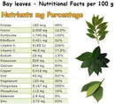 Mediterranean Bay Leaf, Bay Laurel Live Plant. Standard Variety - Laurus Nobilis. Live Plant. Fragrant, Fresh, Edible. Best for Ground Planting Outdoor. (4 Bay Laurel Plants in Sac) by GreenHaven Gardens