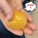 Einstein’s Crazy Egg Science LAB Science Kit for Kids. STEM for Boys & Girls Aged 8 and Above. 14 Exciting Experiments Inside. Detailed Picture Guide Included. by TinyTreasures Baby Boutique