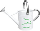 Metal Watering Can for Outdoor and Indoor Plants, Watering Can Decor, 1 Gallon (Taurus) by GreenHaven Gardens