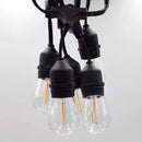 Hometown Evolution, Inc. E26 Outdoor Commercial String Lights with Suspended Socket for Weatherproof Heavy Duty Vintage Outside Lighting (S14 LED Plastic, 50 Foot 25 Socket) by GreenHaven Gardens