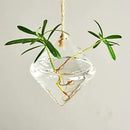 Glass Hanging Planters Indoor Outdoor Plant Pots Water Plant Containers Flower Pots Glass Terrariums Wall Vases 3 Pieces by GreenHaven Gardens