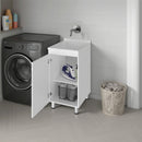 Darwin Freestanding Utility Tub and Sink Cabinet with One Door by HouseOfZazla