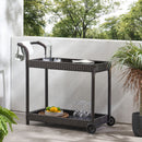 Resin Wicker Bar Cart With Metal Frame - Brown by HouseOfZazla