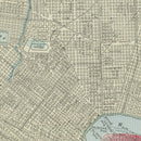 Vintage Map of New Orleans, Louisiana 1901