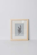 Fauna Wall Art