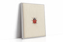 Tiny Ladybug on Paper