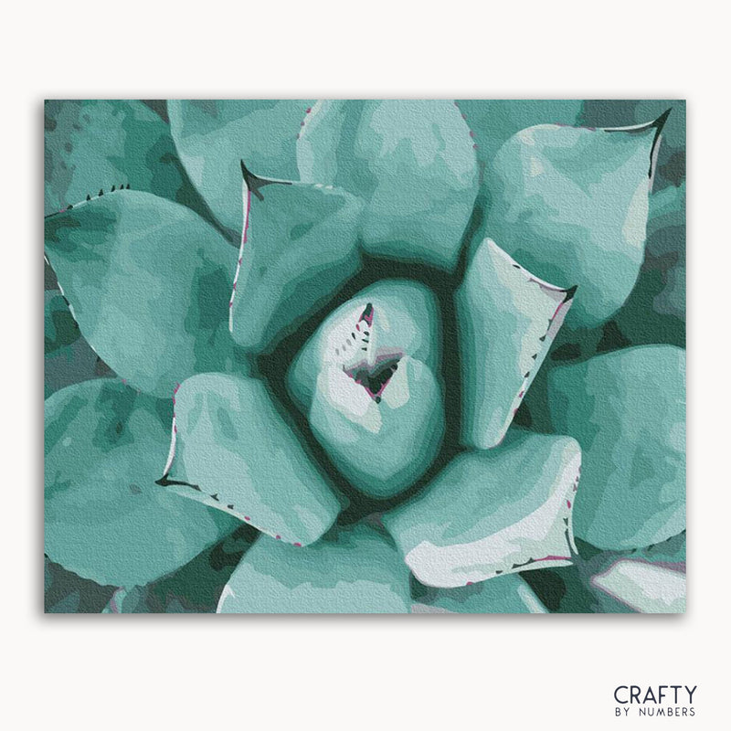 Succulent