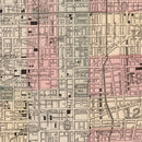Vintage Map of Philadelphia, Pennsylvania 1868