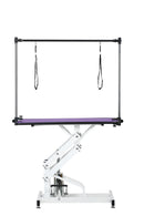 Hydraulic Pet Grooming Table With "H" Arm by HouseOfZazla