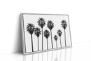 Seven Palms in Perfect Rhythm